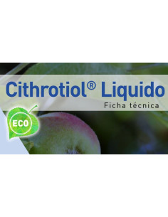 CITHROTIOL LIQUIDO 10L