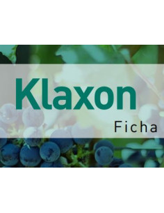 KLAXON 5L
