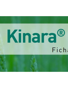 KINARA (DFF 500) 5 LT