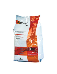 POINTER GEO 10 KG
