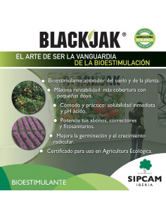 BLACK JACK 20L