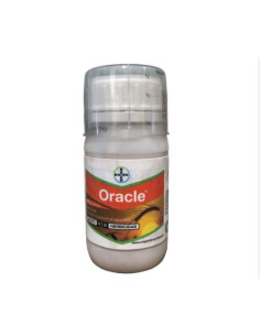 ORACLE 198gr