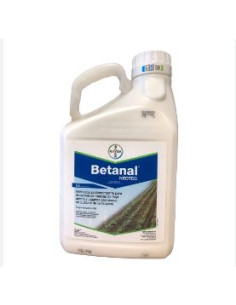 BETANAL NEOTEC 5 LT