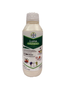 LUNA EXPERIENCE SC 400 1LT