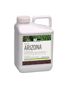 ARIZONA 5L